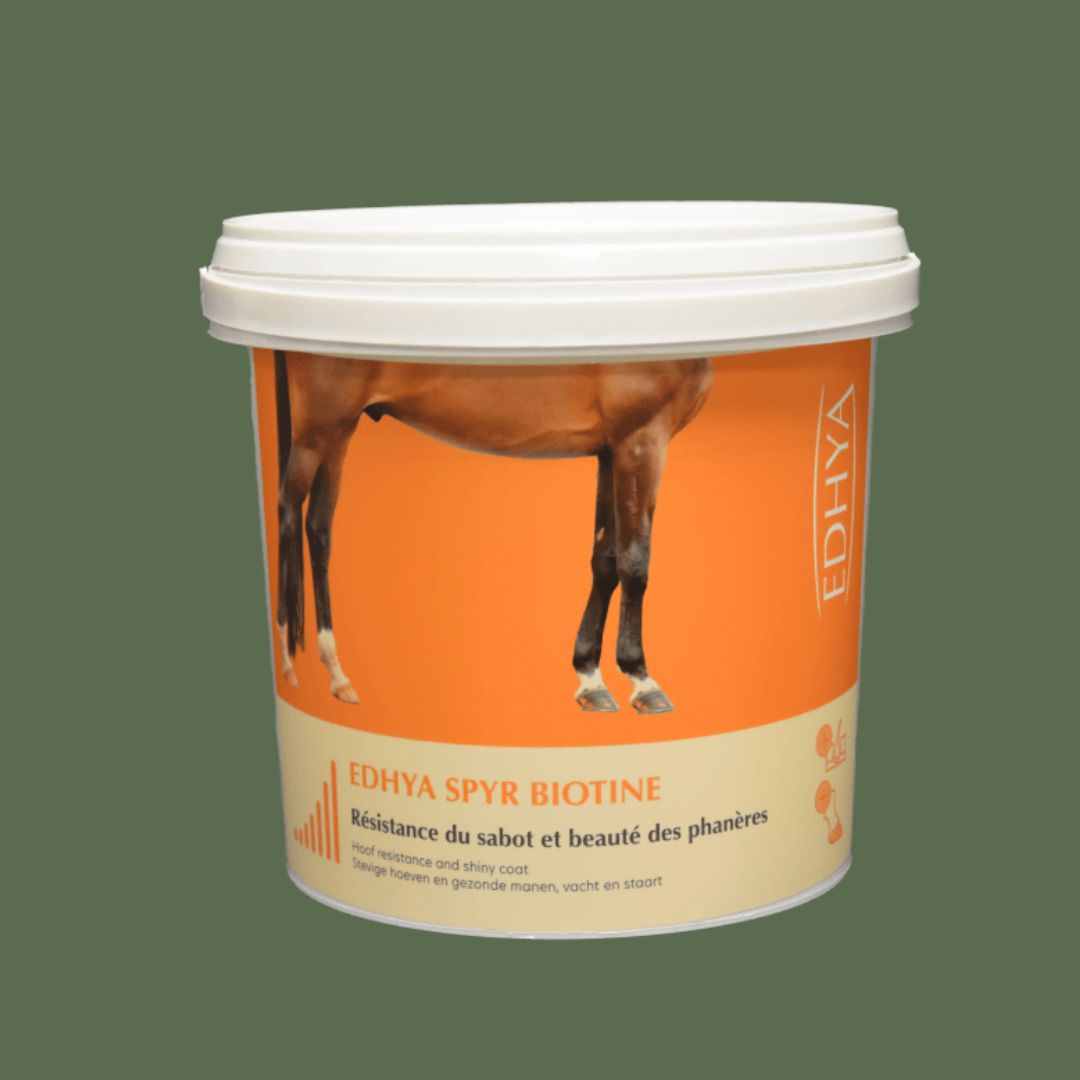 EDHYA SPYR BIOTINE 1kg