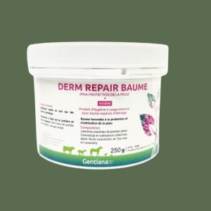PMA protection de la peau (pommade) pour les équidés