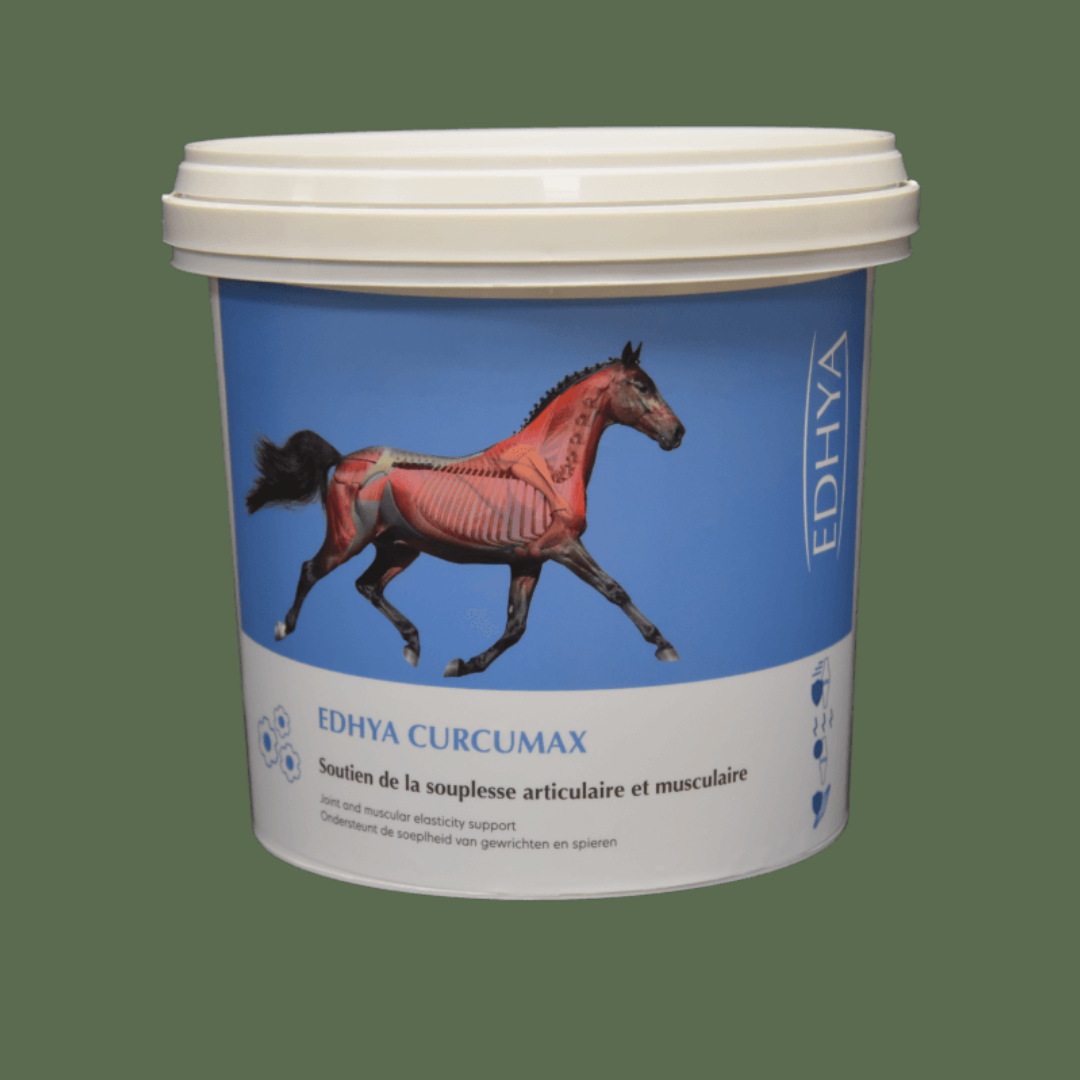 curcumax cheval edhya