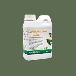 PneumoCare CPA 6 1L