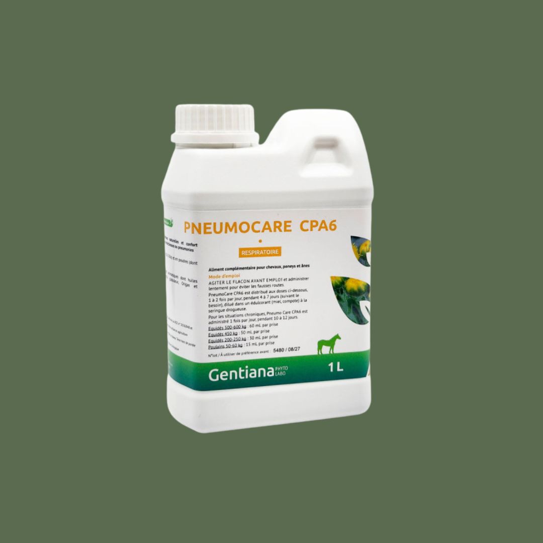 PneumoCare CPA 6 1L