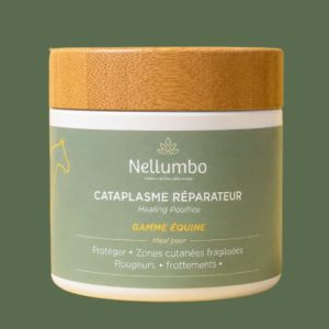 Cataplasme réparateur