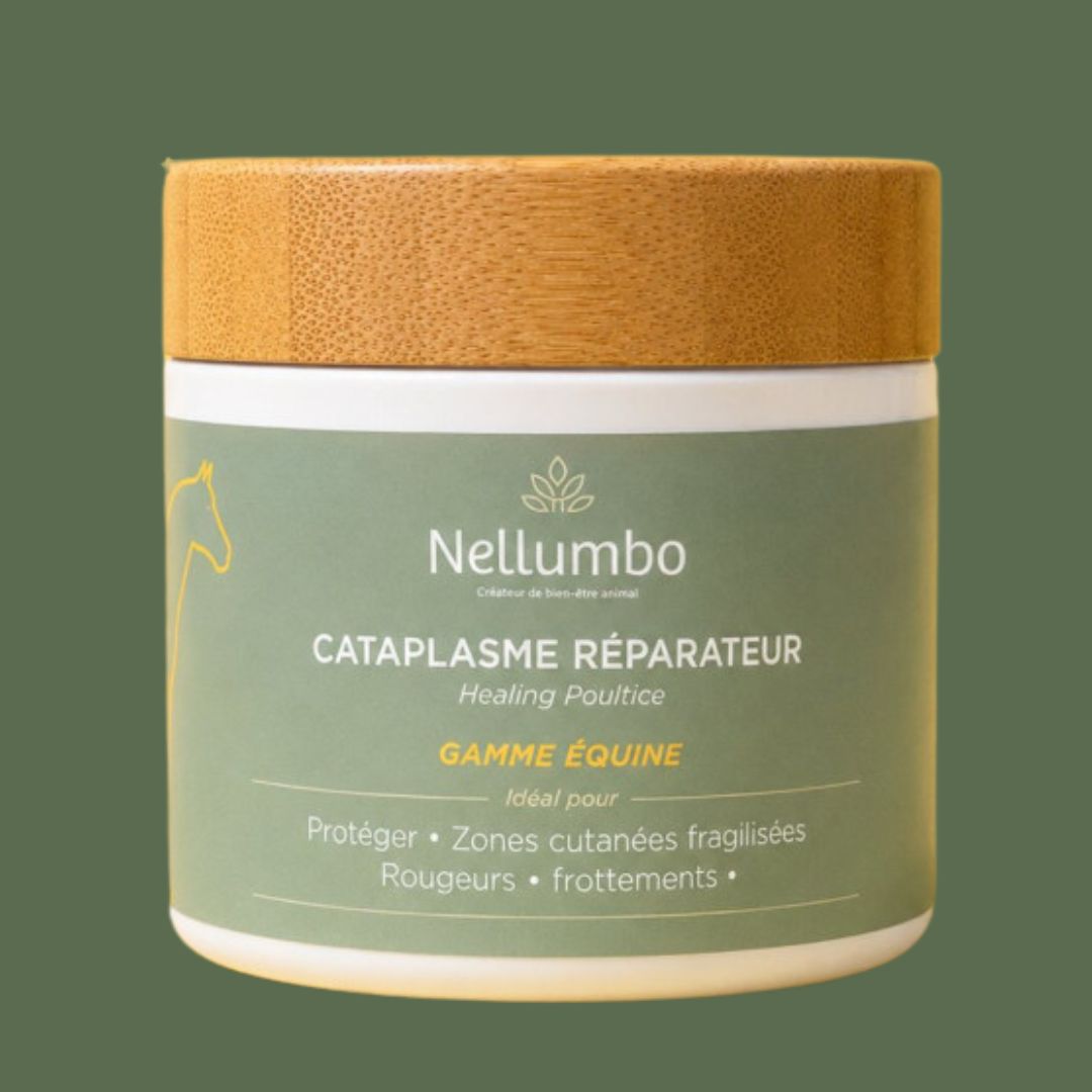 Cataplasme réparateur
